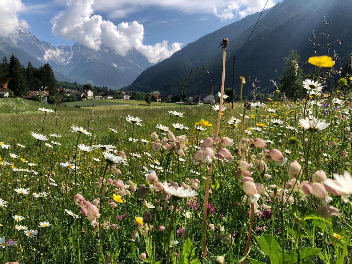 Apartments Sankt Walburg Anterselva di Mezzo Exteriér fotografie
